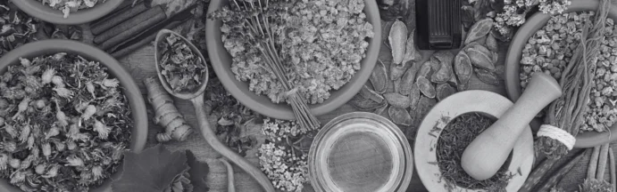 accompagnement naturopathique de la preconception et de la fertilite