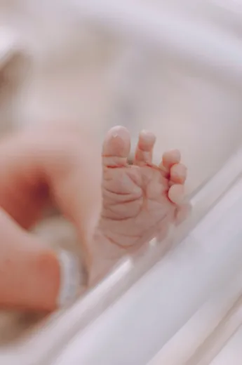 Programme Allaitement et premature