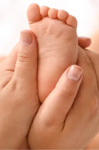 Programme reflexologie niveau2