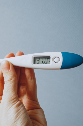 programme symptothermie formation